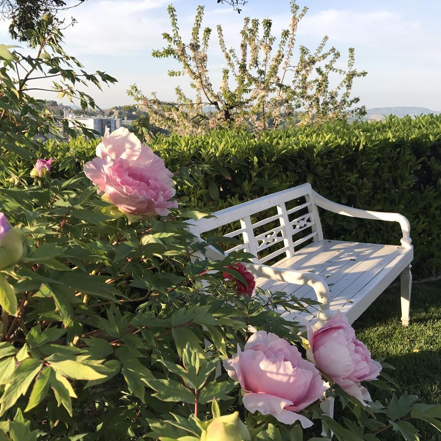 ウルビーノ Residenza Ambrogiアパートホテル エクステリア 写真